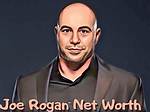 Joe Ragosta Net Worth 2024