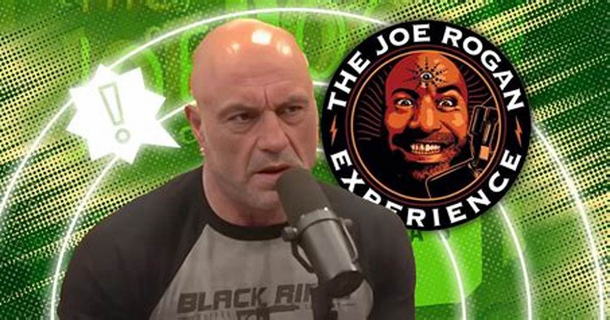 Joe Rogan Has More Than One Black Belt in Martial Arts