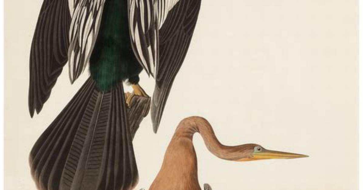John James Audubon Net Worth