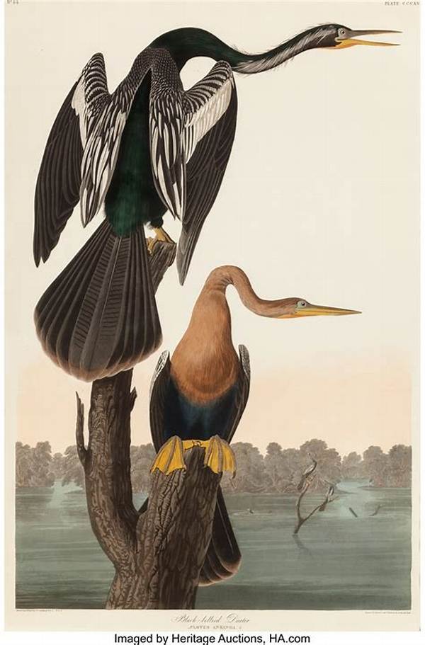 John James Audubon Net Worth