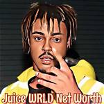 Just Juice Net Worth 2024