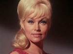 Karen Steele Net Worth