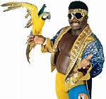 Koko B. Ware