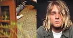 Kurt Cobain: How Did Kurt Cobain Die?