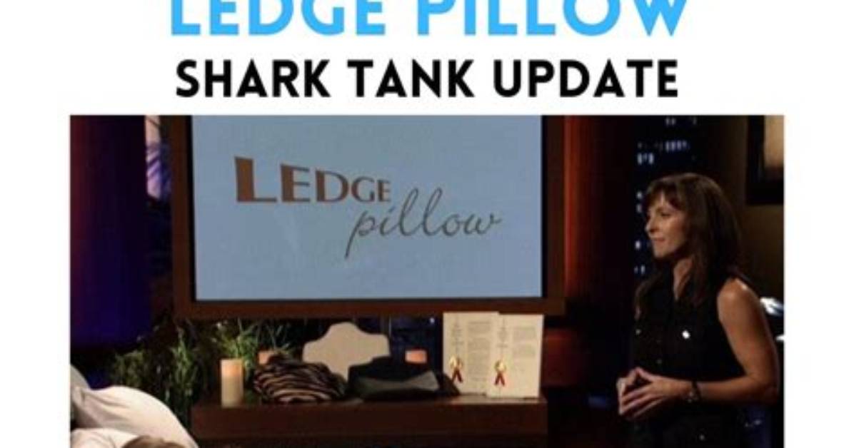 Ledge Pillow Shark Tank – Founder, Net Worth and Investment