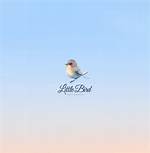 Little Bird by Jonas Brothers from Usa
