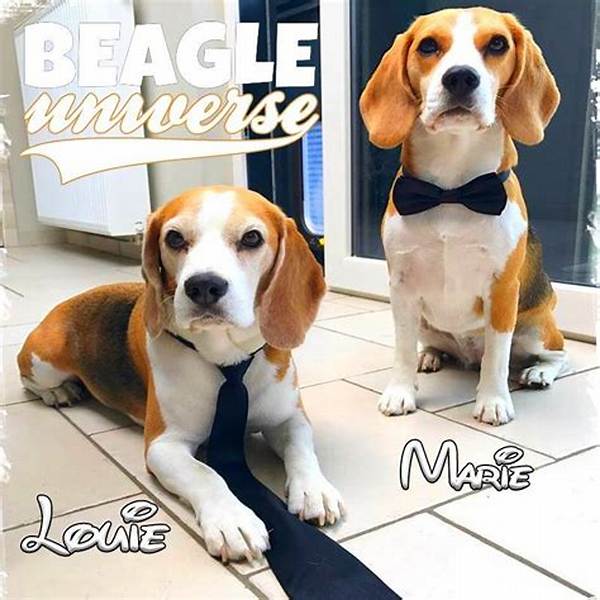Louie the Beagle