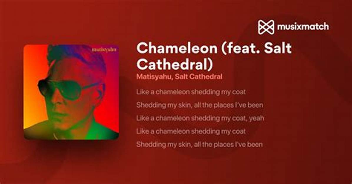 Lyrics & Translations of Chameleon by Salt Cathedral