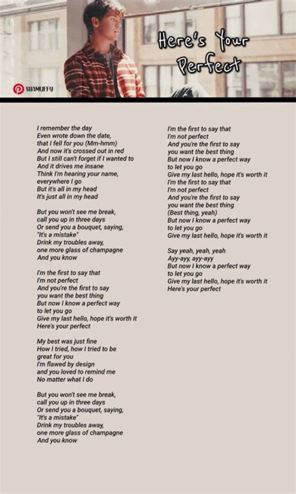 Lyrics & Translations of Here's Your Perfect by Jamie Miller