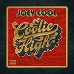 Lyrics & Translations of Lions by Joey Cool