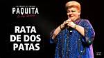 Lyrics & Translations of Rata De Dos Patas by Alberto Barros