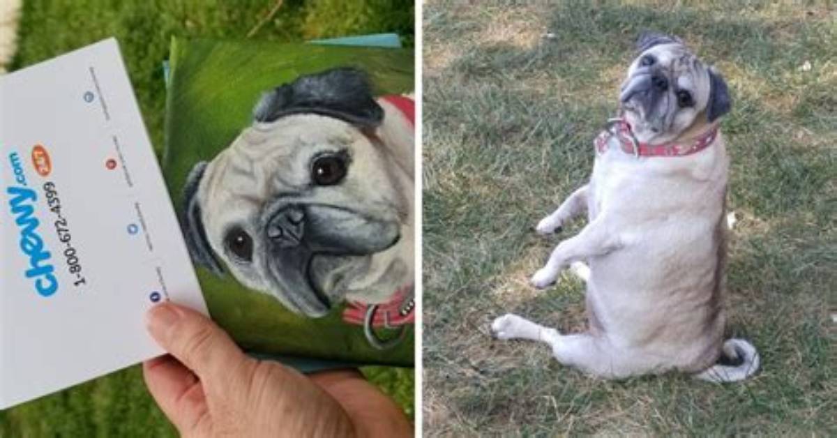 Man Asks for Refund on Pet Food After Dog Passes Away, Gets an Oil Painting Instead