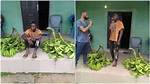 Man 'Steals' Bunches of Plantain, Says He Did It for Girlfriend Who Needed N10K Makeup, Nigerians React