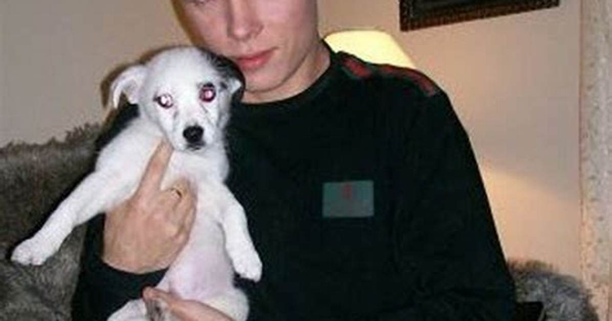 Manny Lopez Allegedly Forced Luka Magnotta to Commit Heinous Crimes