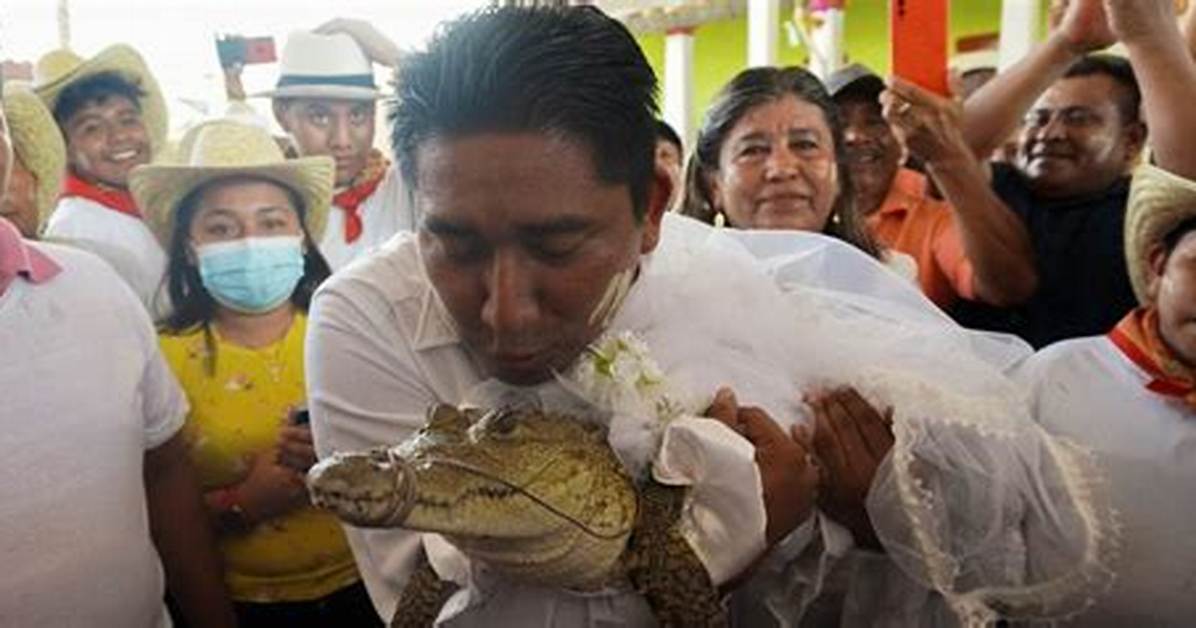 Mexican Mayor Marries Alligator and Seals the Deal with a Nuptial Kiss, Hopes to Bring Abundance to Village