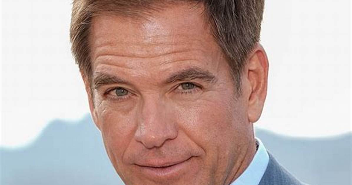 Michael Weatherly Net Worth 2024