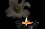 Mike Antell | Death and Obituary: Died in a Car Accident