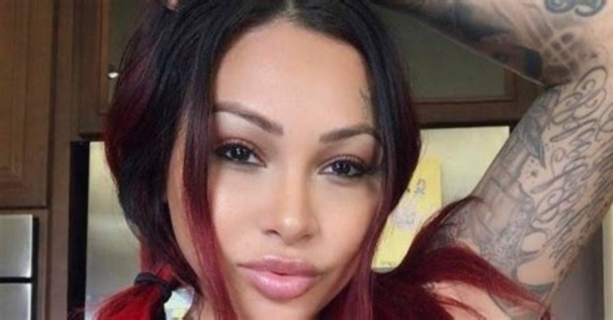 Model Brittanya Razavi (Brittanya O'campo) Wiki, Bio, Net Worth, Husband, Children, Rumors.