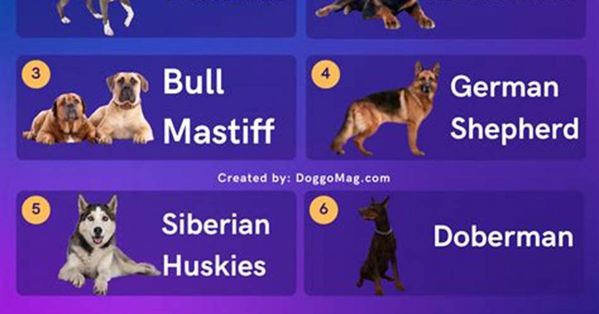 Most Dangerous Dog in the World: Top 5