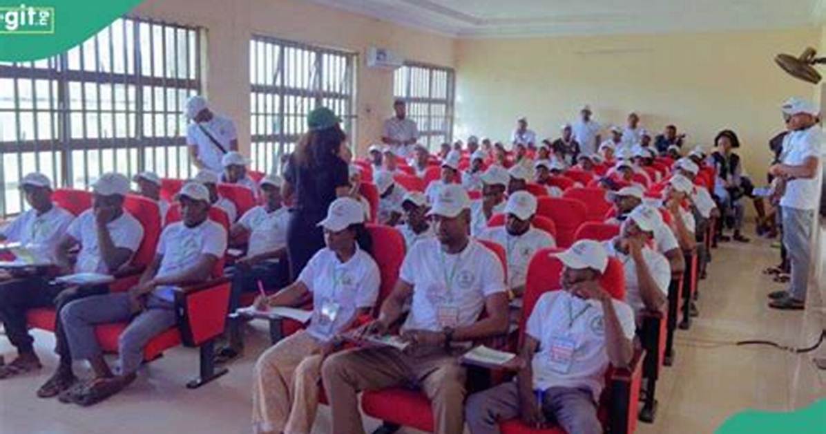 N-Power Speaks on Possible Recruitment, Pending Payments