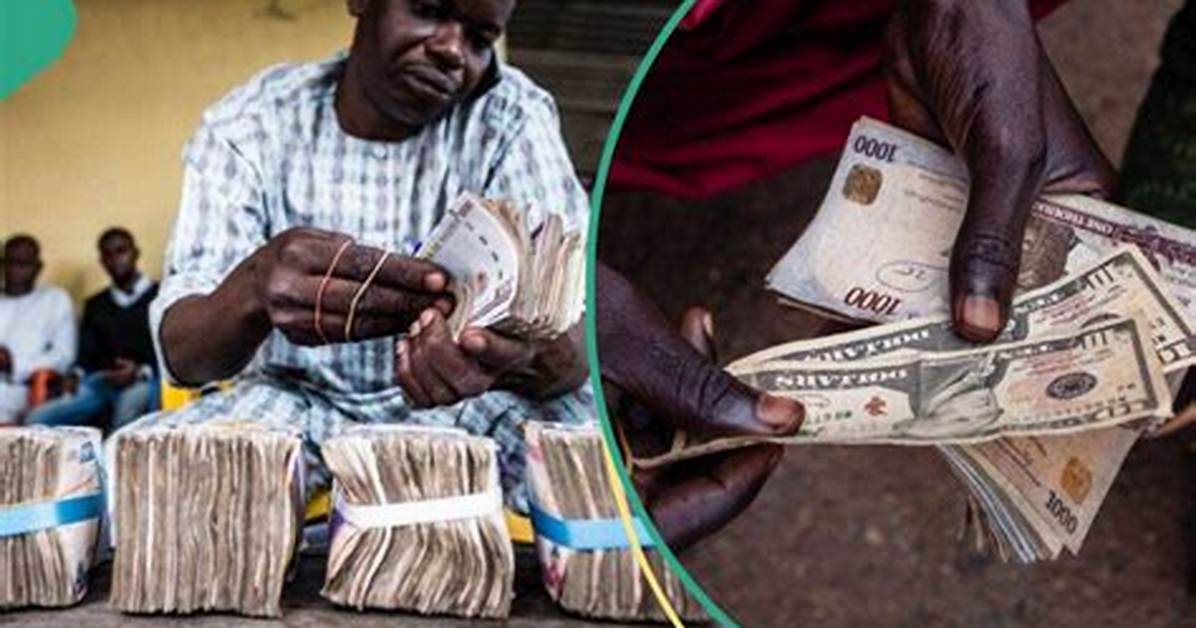 Naira Bounces Back, Gains over N100 Against Dollar in Black Market, Traders Quote New Exchange Rate