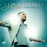 Naser Zeynali's Biography and Facts'