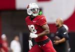 Nicole Harrison Net Worth – How Much Is Nicole Harrison Worth?