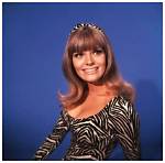 Nina Wayne