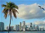 'One Night in Miami' Tells the Story of a Legendary Meetup — Did It Actually Happen?