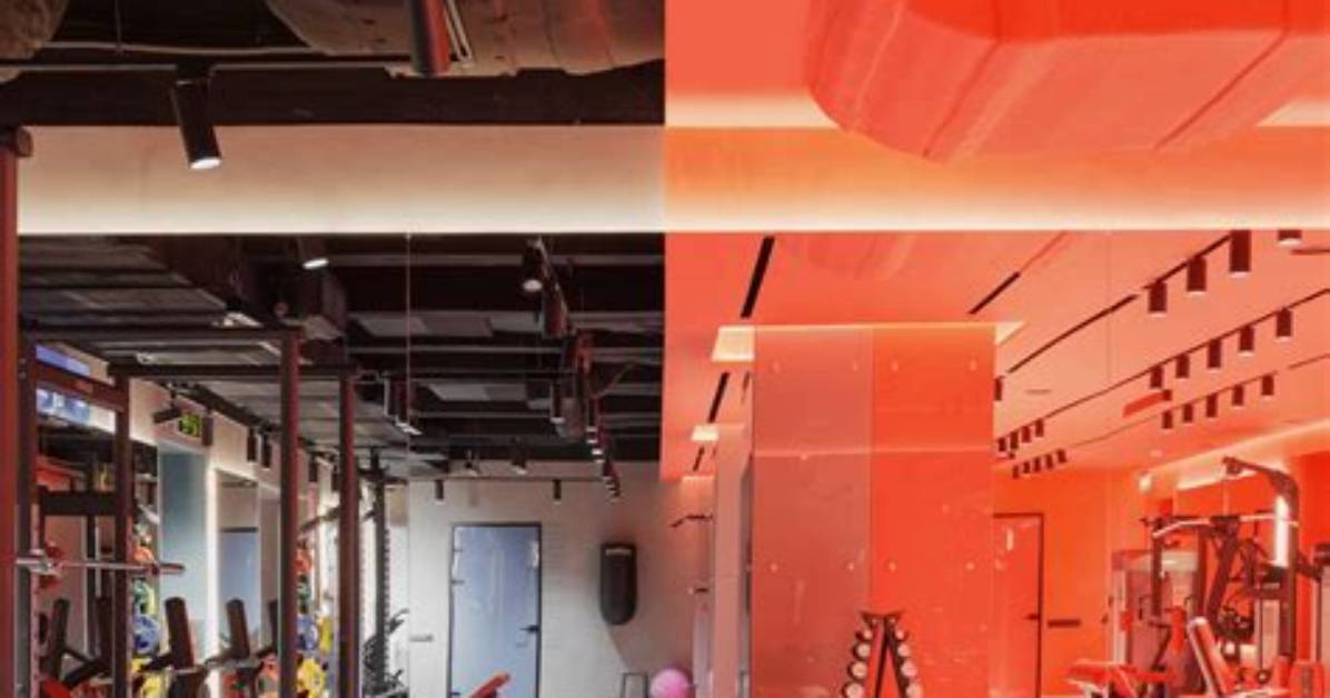 Owner of a Chain of Fitness Centers, Theresa Roemer Once Had a Three-Story Tall Closet!