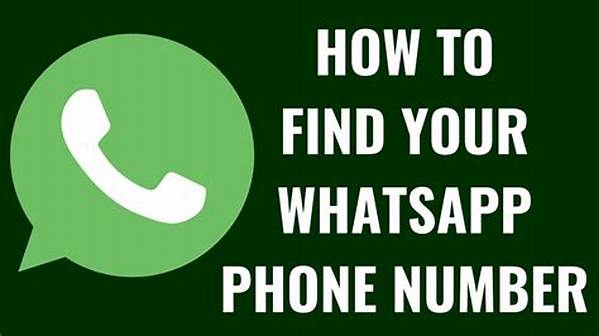 Patterrz Phone Number, Whatsapp Number, House Address, Email Id