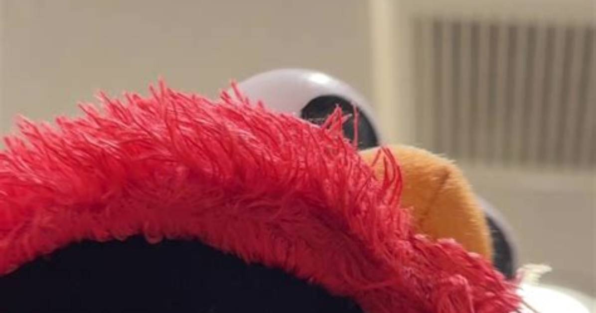 People on Tiktok Swear That Elmo from 'Seasame Street' Is Black — Here's Why
