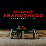 Perro Abandonado by Ivan Cornejo from Mexico