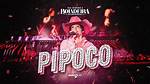 Pipoco