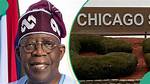 President Tinubu’s Csu Certificate Owned by a Woman? Fact Emerges