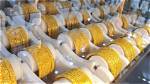 Record Gold Prices Take Shine off London Jewellers
