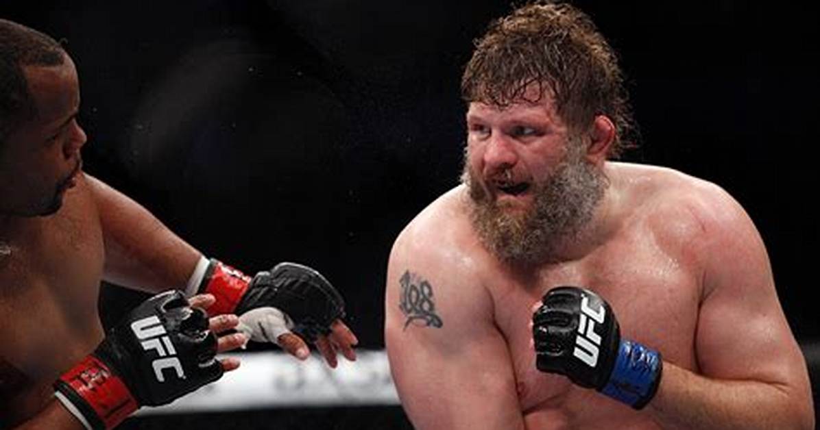Roy Nelson Net Worth