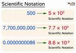 Scientific Notation 256