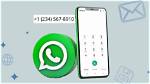 Scott Falco Phone Number, Whatsapp Number, House Address, Email Id
