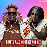 Shatta Wale vs Stonebwoy: Ayisha Modi Wades In, Reveals Stonebwoy Owns 3 Mansions in East Legon
