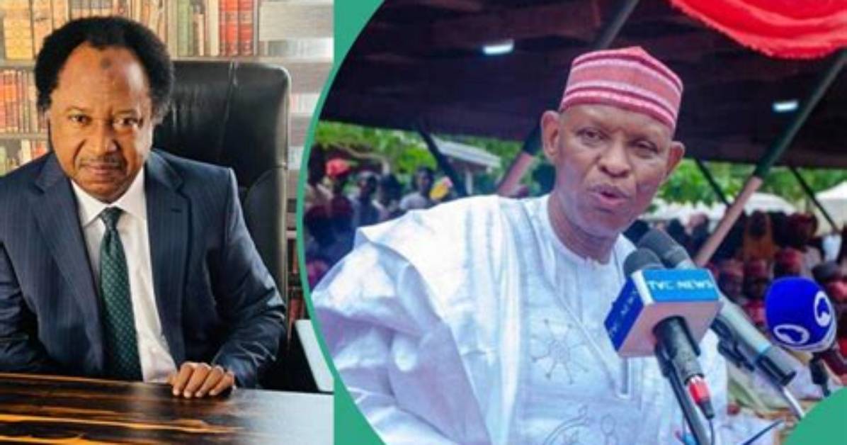 Shehu Sani Reacts as Kano Gov Yusuf Declares Emergency on Education: “Ganduje, Others Failed”