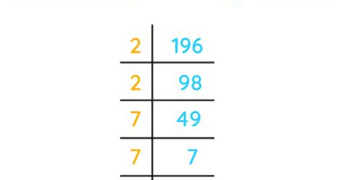 Show Factorization for 196