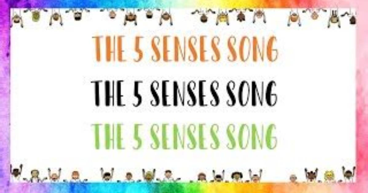 Songs About 5 Senses | Popnable