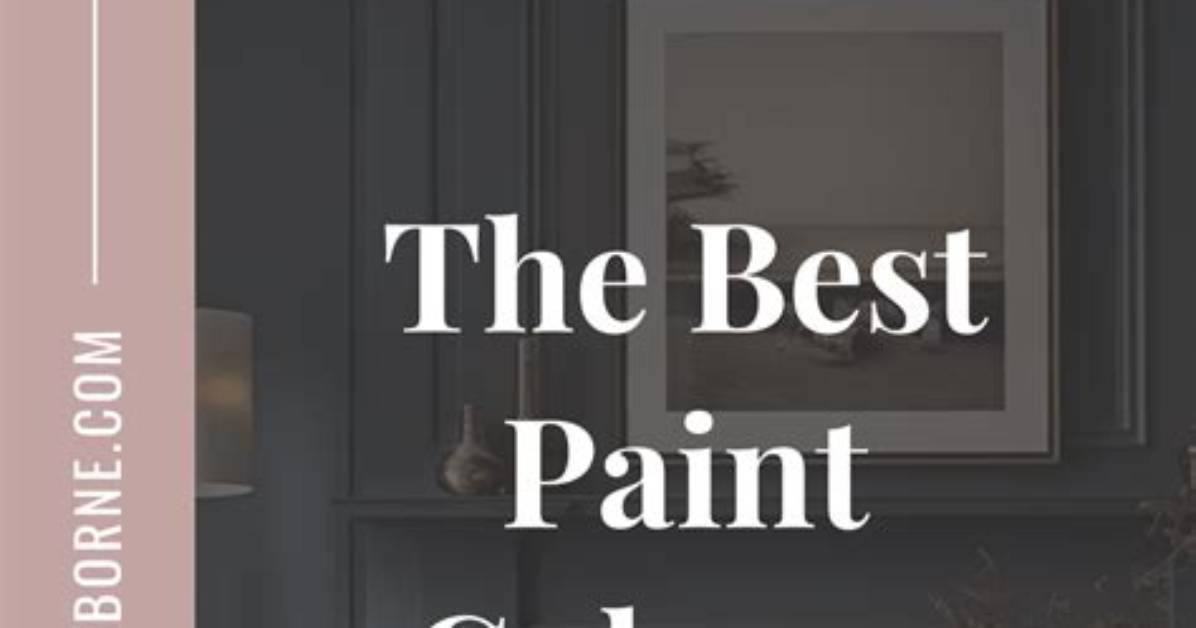 Tenant Redecorates Room with Dark Colours, Paints Wc and Sink Black, His Landlady Cries