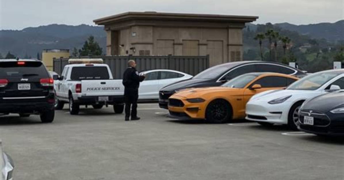 Tesla Owner Gets the Last Laugh as Sentry Mode Captures Hater Keying His Car