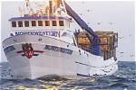 The F/v Northwestern on 'Deadliest Catch' Is a Respectable Boat with Not So Respectable Crew Members