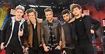 The One Direction at Home Online Concert Left Fans Hoping for a Reunion
