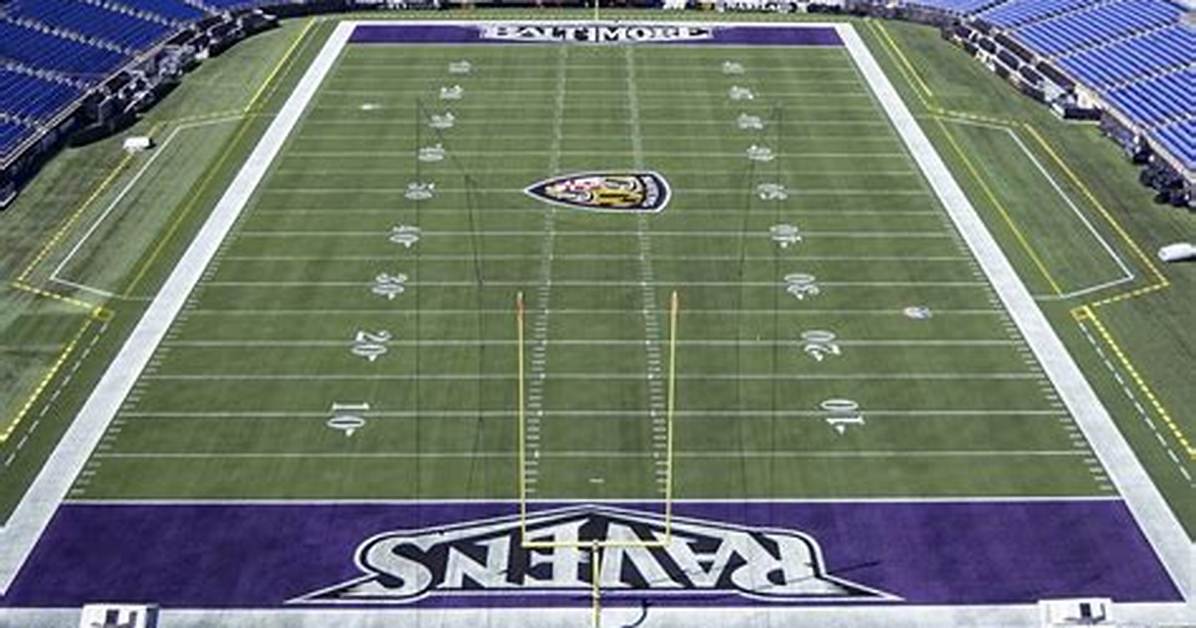 This Baltimore Ravens End Zone Is a Golden Tribute to the Team’s Biggest Fan