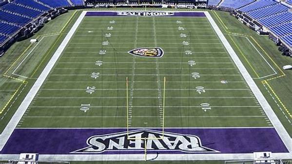 This Baltimore Ravens End Zone Is a Golden Tribute to the Team’s Biggest Fan