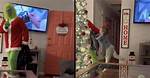 Tiktok Grinch Prank Has Some Folks Laughing, but Not Everyone